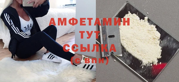 МДПВ Абаза