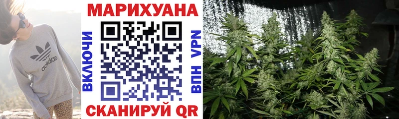 Шишки марихуана сатива  купить наркотик  Отрадное 